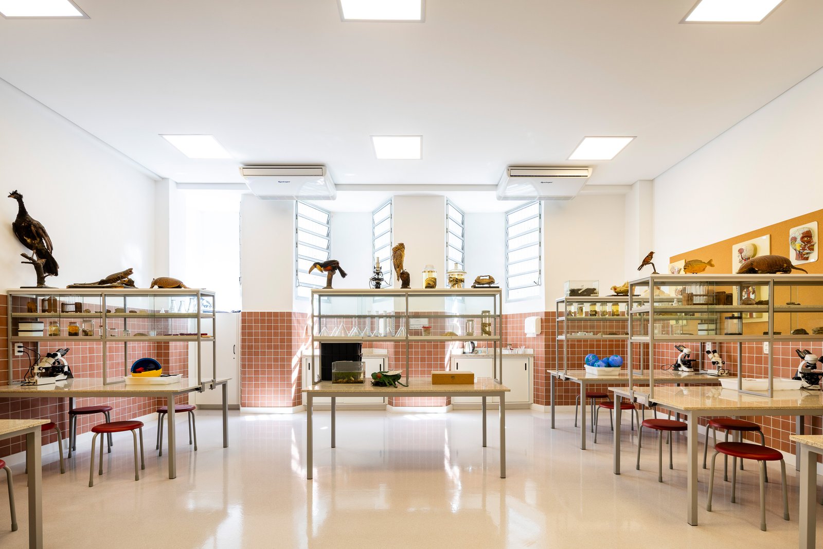 Laboratório com bancadas de pedra, microscópios, vitrines de vidro com peças de zoologia e revestimento em pastilhas terracota