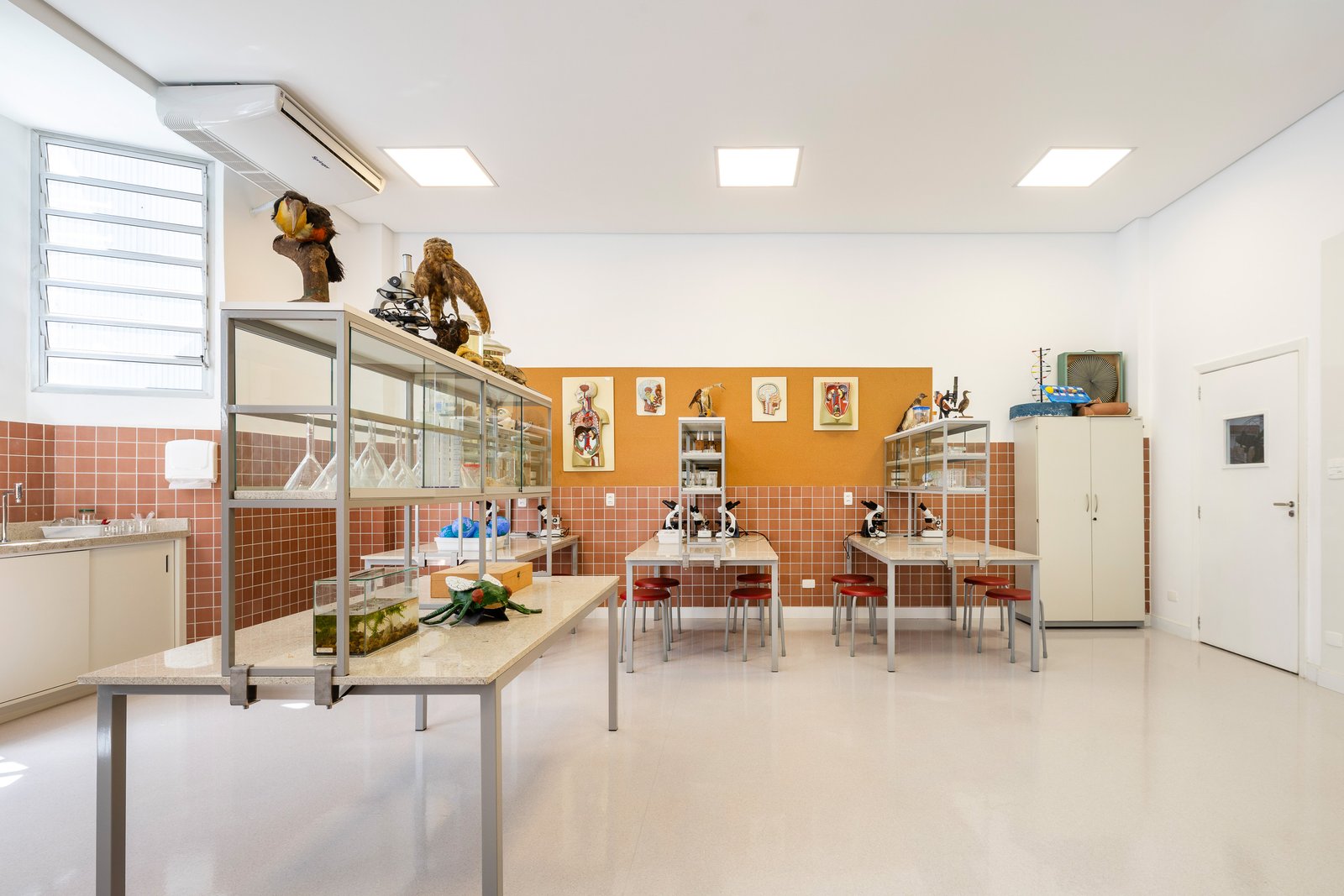 Laboratório com modelos anatômicos em painel laranja, microscópios sobre bancadas de pedra e banquetas vermelhas