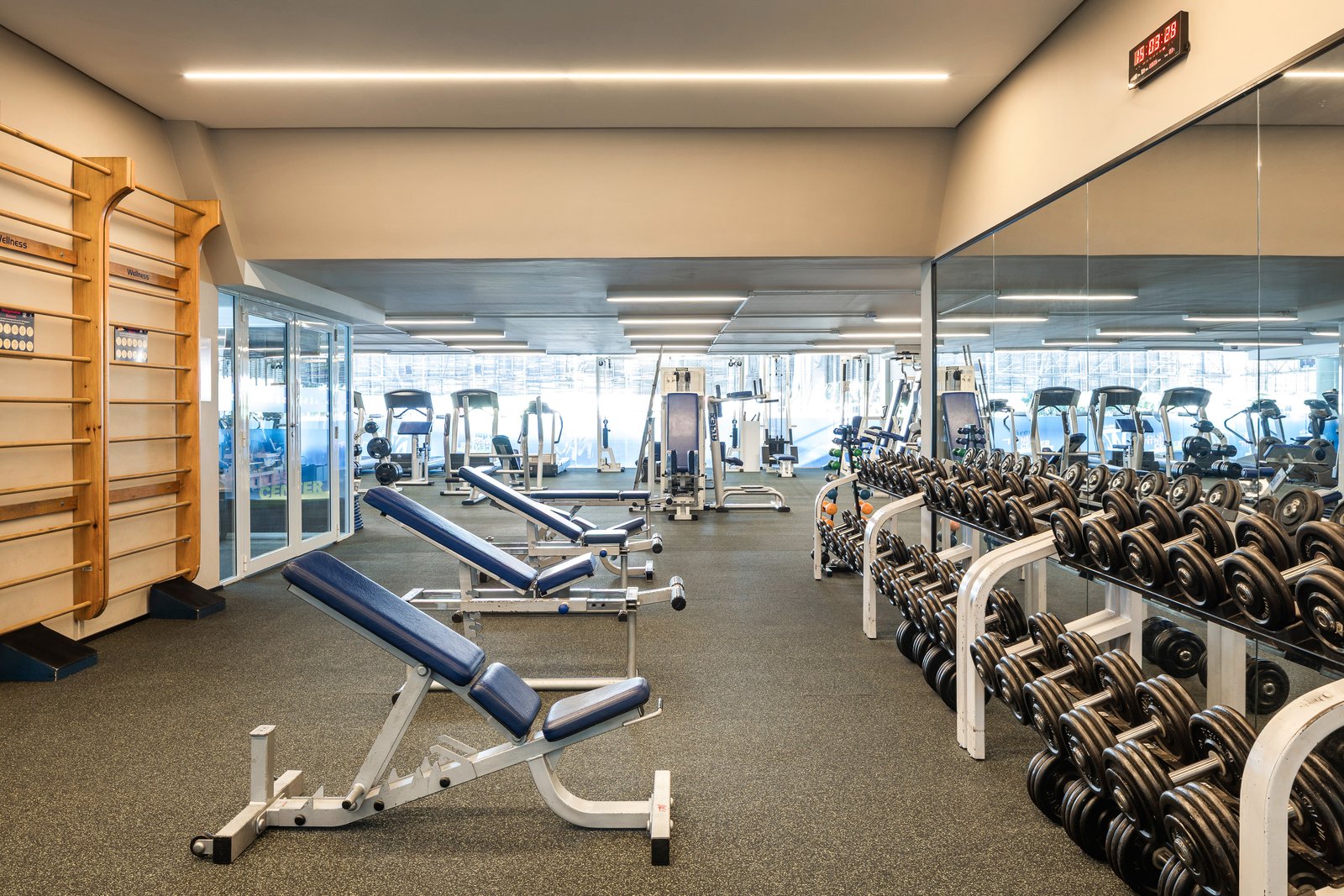 Sala de musculação com espaldar de madeira, bancos, rack de halteres e grande espelho